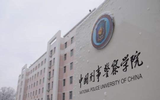 本科院校,依托中国人民警察大学成立的"中国维和警察培训中心",承担着